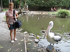 120 Port Douglas Wildlife Habitat